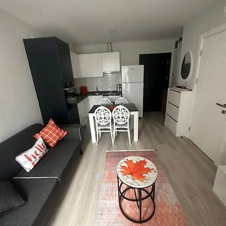 Havalimani Ve Avm Yakini Havuzlu Lux1+1 Ozel Fiyat Apartment Antalya